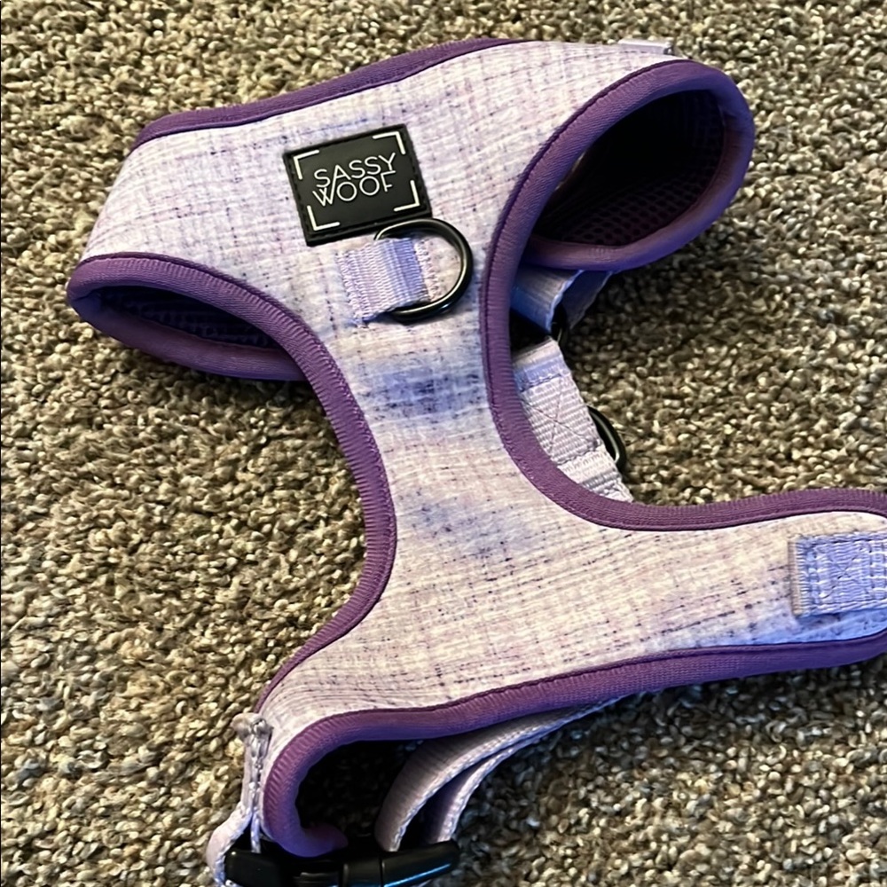 Purple Pet Harness